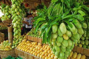 Dry months to boost mango production in Guimaras